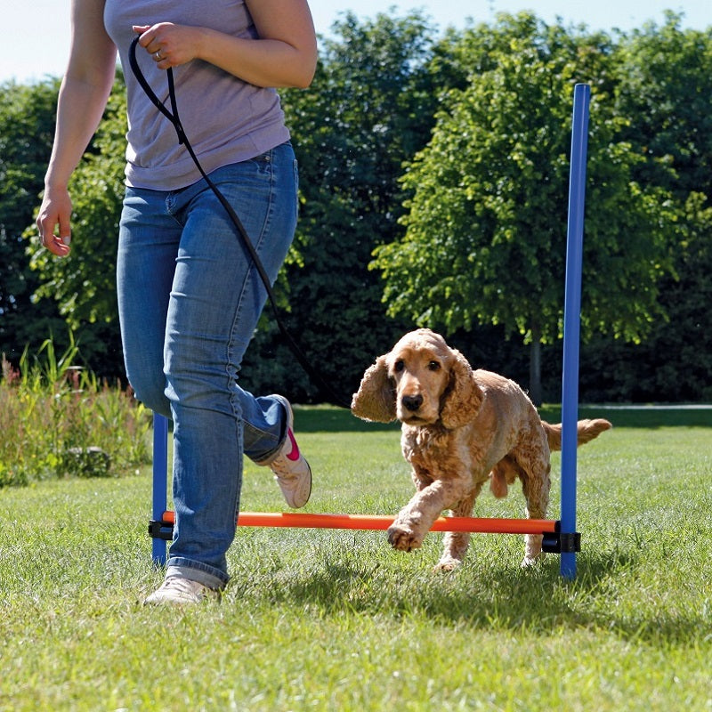 Agility Hurdle 123cm High