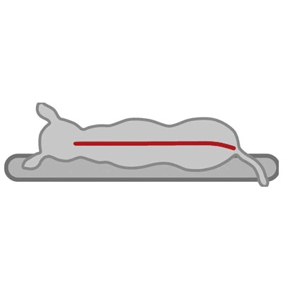 Bendson - Orthopaedic Cushion Oval - Grey