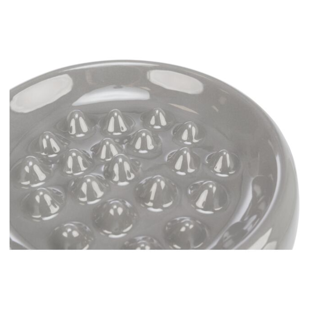 Trixie Ceramic Slow Feed Cat Bowl